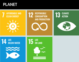 Libraries - Saving the Planet through 5 SDGs