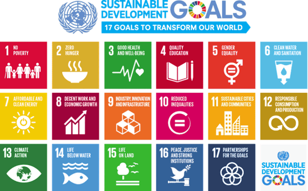 Sustainable develpmnt goals